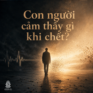 Con người cảm thấy gì khi chết?