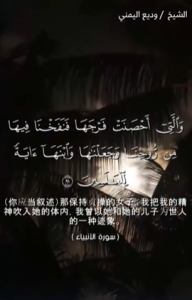 安比雅 91
