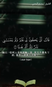 麦尔彦 20:21