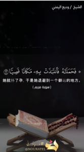 麦尔彦 22:24