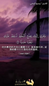 麦尔彦 25:26