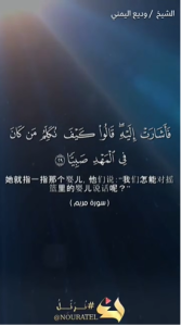 麦尔彦 29:31