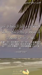 慕姆太哈奈 8