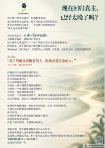 现在回归真主，已经太晚了吗？